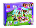 Конструктор Френдс Friends «День рождения»