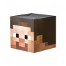 Маска Minecraft «Стив»